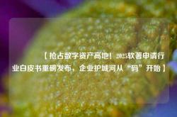 🔥【抢占数字资产高地！2025软著申请行业白皮书重磅发布，企业护城河从“码”开始】🔥