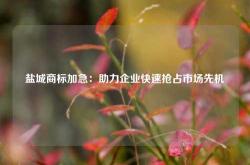 盐城商标加急：助力企业快速抢占市场先机