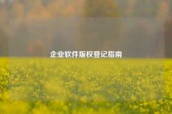企业软件版权登记指南