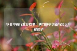 软著申请行业白皮书：助力数字创新与知识产权保护