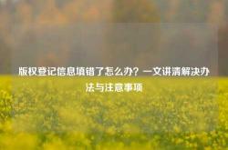 版权登记信息填错了怎么办？一文讲清解决办法与注意事项