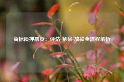 商标质押融资：评估-备案-放款全流程解析