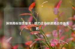深圳商标加急服务：助力企业快速抢占市场先机