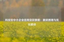 科技型中小企业信用贷款额度：融资困境与优化路径