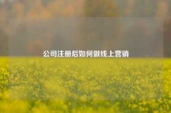 公司注册后如何做线上营销