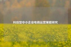 科技型中小企业电商运营策略研究