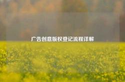 广告创意版权登记流程详解