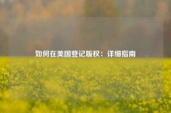 如何在美国登记版权：详细指南