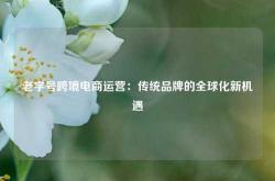 老字号跨境电商运营：传统品牌的全球化新机遇
