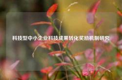 科技型中小企业科技成果转化奖励机制研究