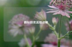 商标拍卖流程详解