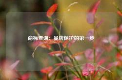 商标查询：品牌保护的第一步