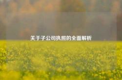 关于子公司执照的全面解析
