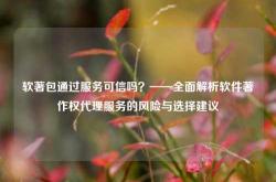 软著包通过服务可信吗？——全面解析软件著作权代理服务的风险与选择建议