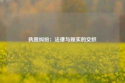 执照纠纷：法律与现实的交织