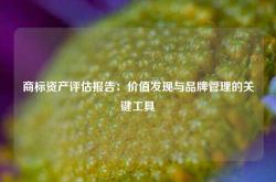 商标资产评估报告：价值发现与品牌管理的关键工具