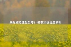 商标被抢注怎么办？5种救济途径全解析