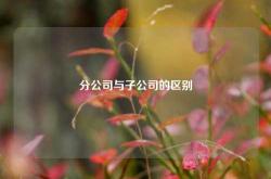分公司与子公司的区别