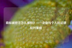商标被抢注怎么维权？——企业与个人的法律应对策略