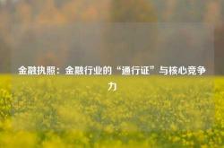 金融执照：金融行业的“通行证”与核心竞争力