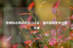 地理标志商标的出口认证：提升国际竞争力的关键
