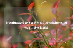 软著申请需要提供安装包吗？全面解析软件著作权申请材料要求