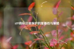 APP商标注册保护的重要性与策略