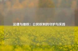 法律与维权：公民权利的守护与实践