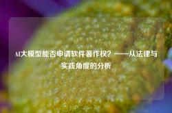 AI大模型能否申请软件著作权？——从法律与实践角度的分析
