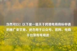 当然可以！以下是一篇关于跨境电商商标申请的推广类文章，适合用于公众号、官网、电商平台宣传等用途：