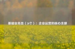 基础业务类（20个）：企业运营的核心支撑