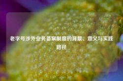 老字号涉外业务备案制度的背景、意义与实践路径