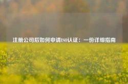 注册公司后如何申请ISO认证：一份详细指南