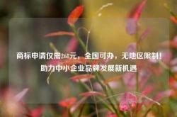 商标申请仅需268元，全国可办，无地区限制！助力中小企业品牌发展新机遇