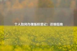 个人如何办理版权登记：详细指南