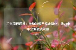 兰州商标质押：推动知识产权金融化，助力中小企业融资发展