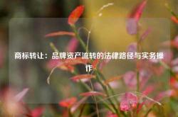 商标转让：品牌资产流转的法律路径与实务操作