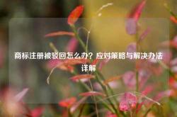 商标注册被驳回怎么办？应对策略与解决办法详解