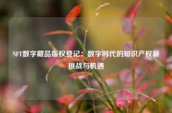 NFT数字藏品版权登记：数字时代的知识产权新挑战与机遇