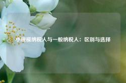 小规模纳税人与一般纳税人：区别与选择