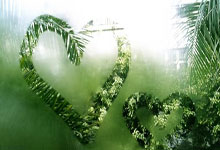 怎么注册饲料商标