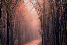 12月24日星期三，农历冬月初五，工作愉快，平安喜乐