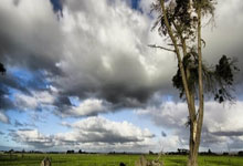 2月9日星期一，农历腊月廿二，工作愉快，平安喜乐