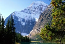 12月24日星期三，农历冬月初五，工作愉快，平安喜乐