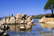 12月24日星期三，农历冬月初五，工作愉快，平安喜乐