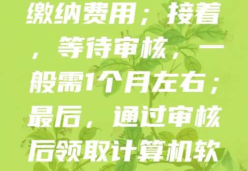 软件著作权登记流程主要包括以下几个步骤：首先，准备相关材料，包括软件源代码、用户手册及身份证明等；其次，登录中国版权保护中心官网进行在线申请；然后，提交材料并缴纳费用；接着，等待审核，一般需1个月左右；最后，通过审核后领取计算机软件著作权登记证书。整个过程需确保软件具有原创性，并符合登记要求。登记可有效保护开发者权益，防止侵权行为。建议在软件开发完成后尽早申请，以保障合法权益。