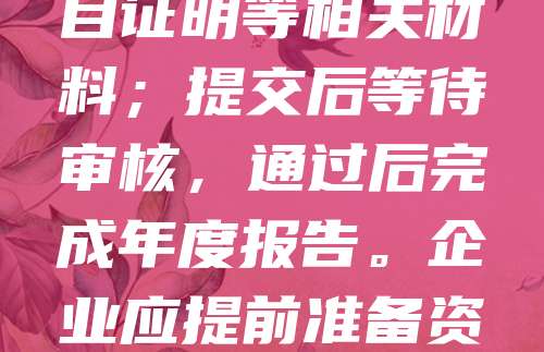 科技型中小企业年度更新是确保企业合规运营、享受政策支持的重要环节。流程主要包括：登录当地科技主管部门平台，填写企业基本信息、研发投入、知识产权等数据；上传财务报表、研发项目证明等相关材料；提交后等待审核，通过后完成年度报告。企业应提前准备资料，确保数据真实准确，避免因信息错误影响资质认定或政策申报。及时完成年度更新，有助于提升企业信用等级，增强市场竞争力，为后续融资、申报高新技术企业等奠定基础。