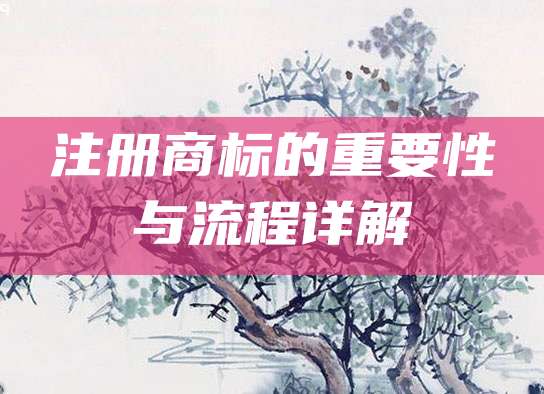 注册商标的重要性与流程详解