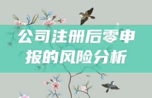 公司注册后零申报的风险分析