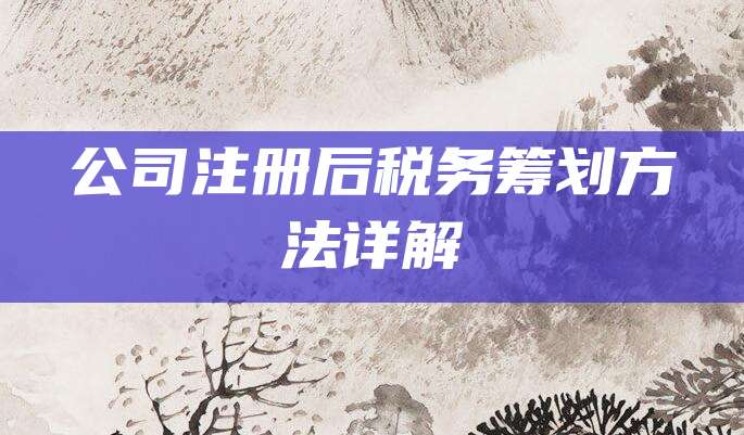 公司注册后税务筹划方法详解
